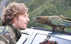 Kea and people