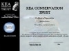 kea-platinum-sponsor-100 Helping Endangered Kea