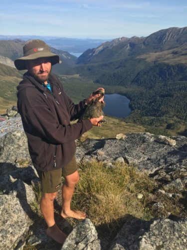 Man holding wild kea in the southern alps