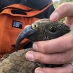Lito 28Jan2019 (2) Lito 28Jan2019 (2)
