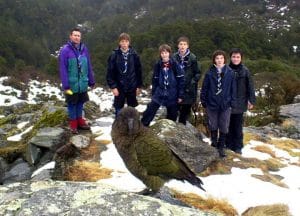 school pupils observing kea at Athurs Pass