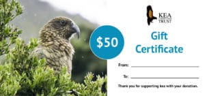 Kea Gift Voucher