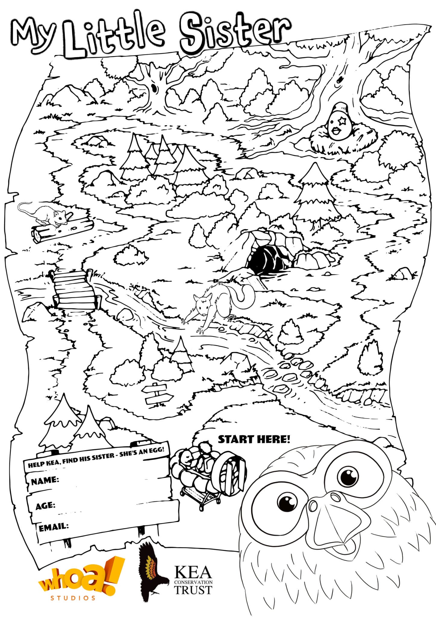 Whoa Studios Lockdown Boredom Buster Competition - Kea Conservation Trust