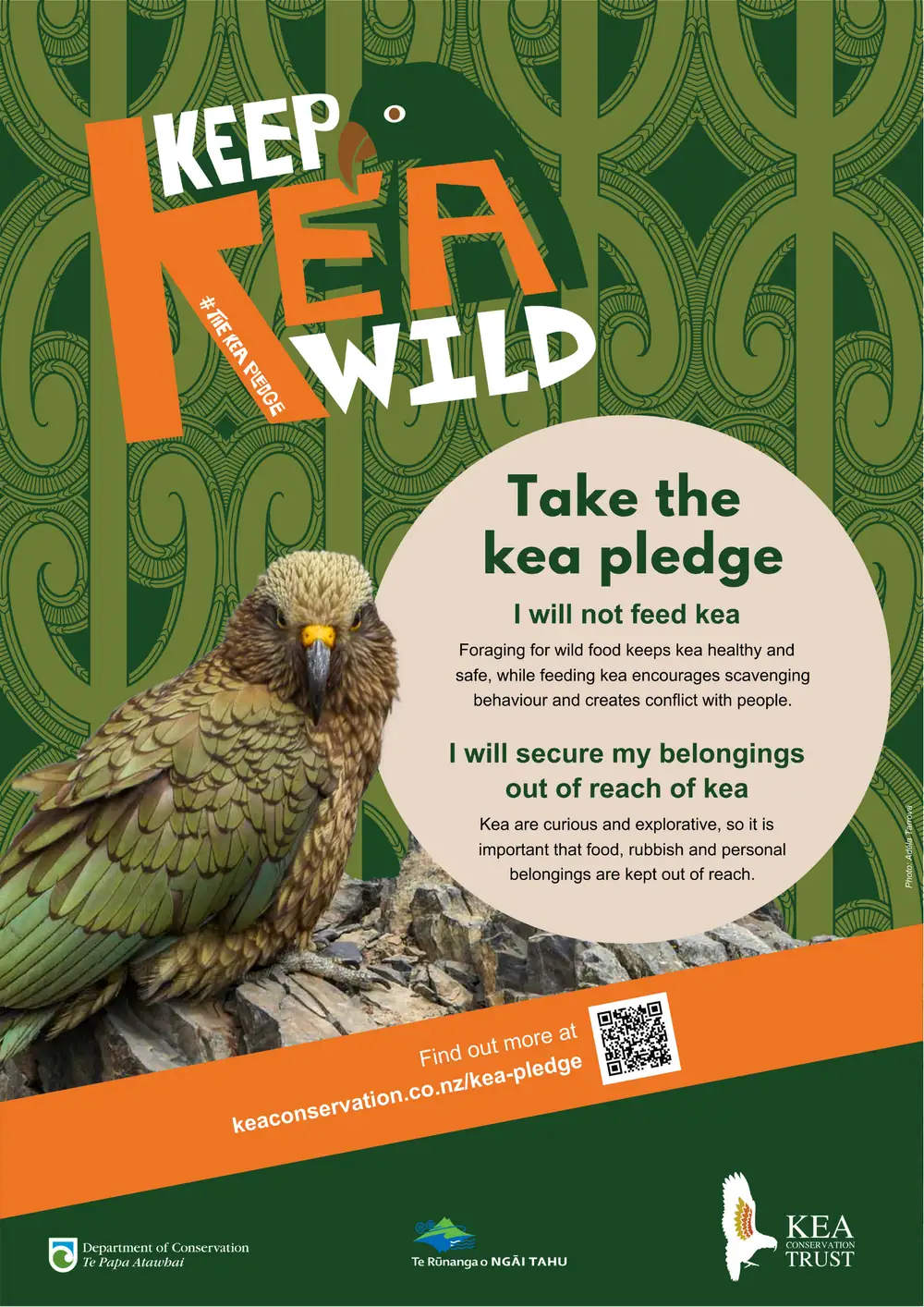Kea Pledge poster